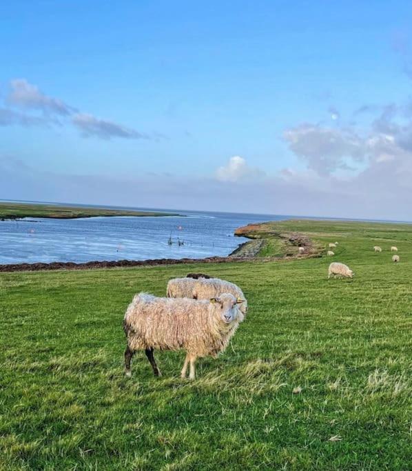 Charmerende Bolig Naer Domkirken Ribe Esterno foto