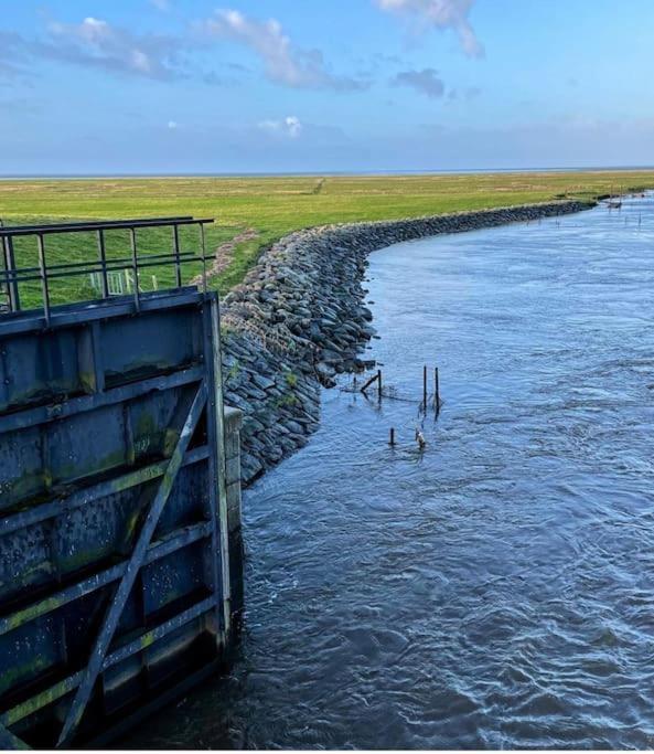 Charmerende Bolig Naer Domkirken Ribe Esterno foto