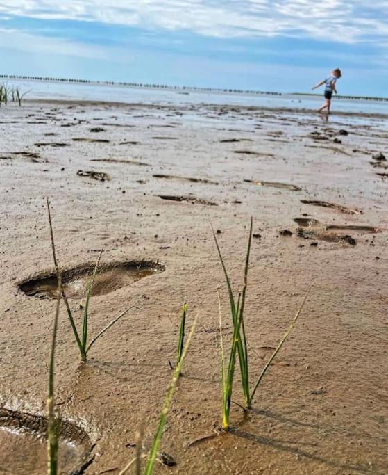 Charmerende Bolig Naer Domkirken Ribe Esterno foto