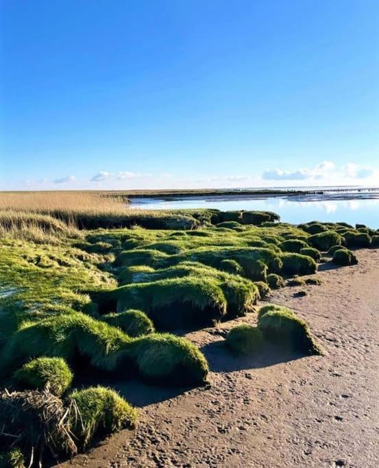 Charmerende Bolig Naer Domkirken Ribe Esterno foto